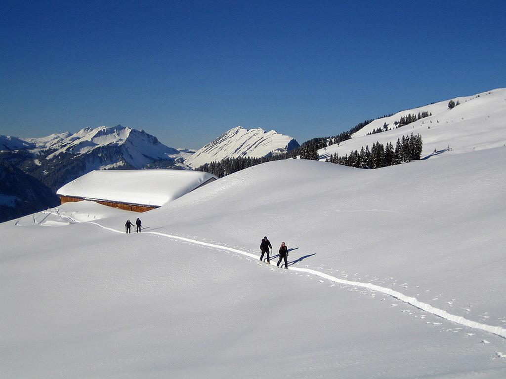 Caroline'S Appartement Au (Vorarlberg) Εξωτερικό φωτογραφία